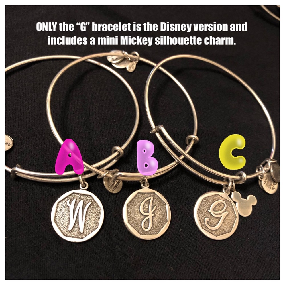 Alex and Ani Adjustable Bracelet